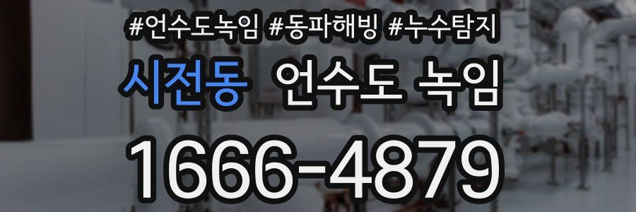 시전동 언수도 녹임