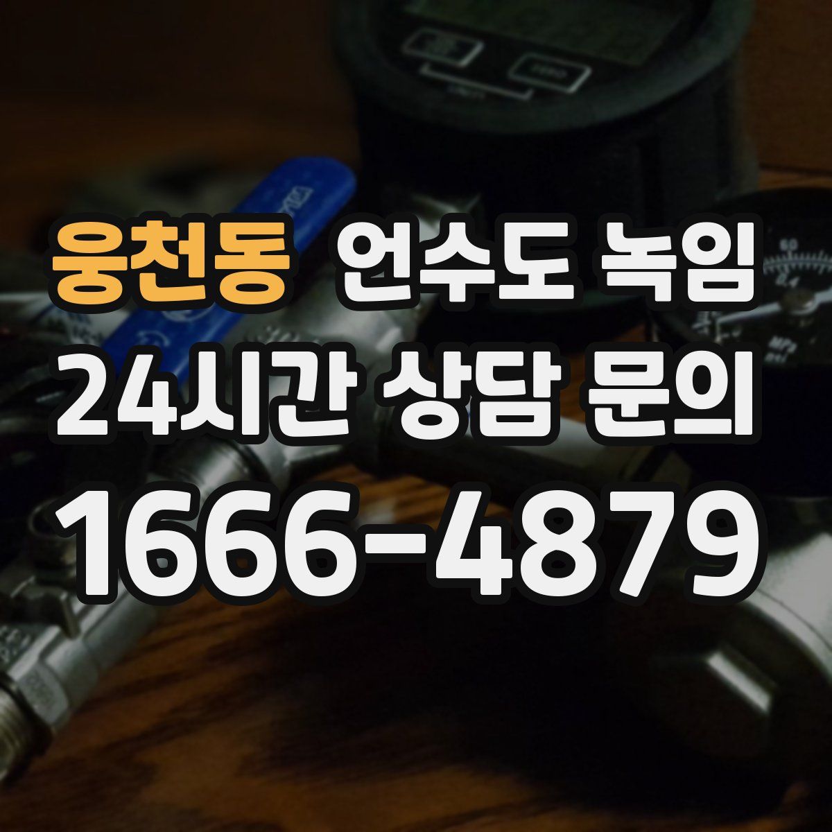 웅천동 언수도 녹임