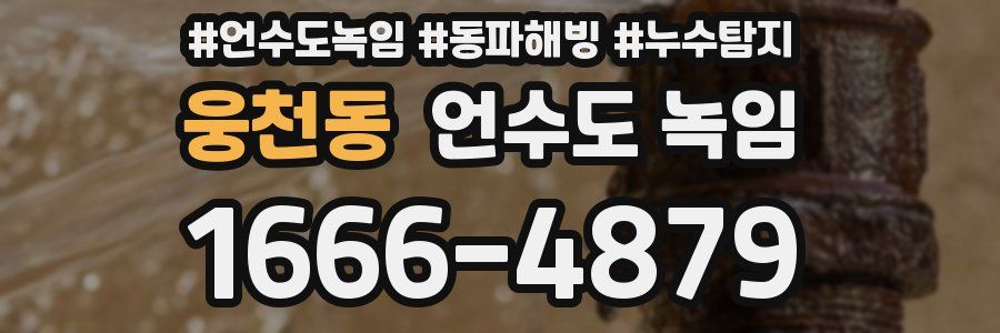 웅천동 언수도 녹임