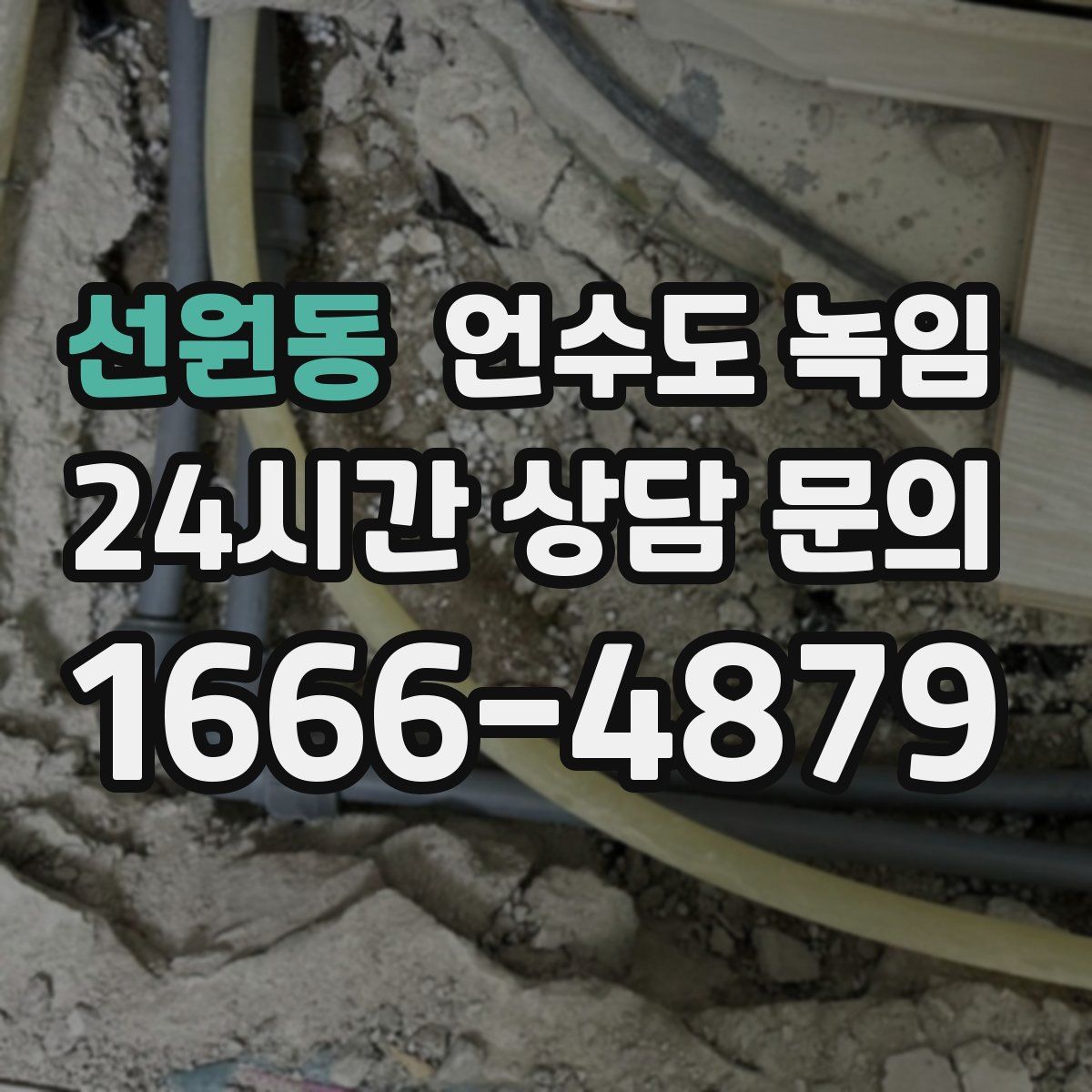 선원동 언수도 녹임