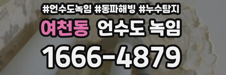 여천동 언수도 녹임