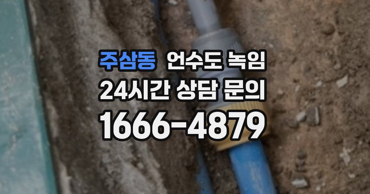 주삼동 언수도 녹임