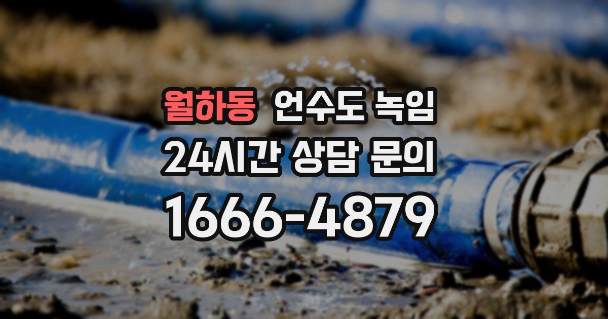 월하동 언수도 녹임