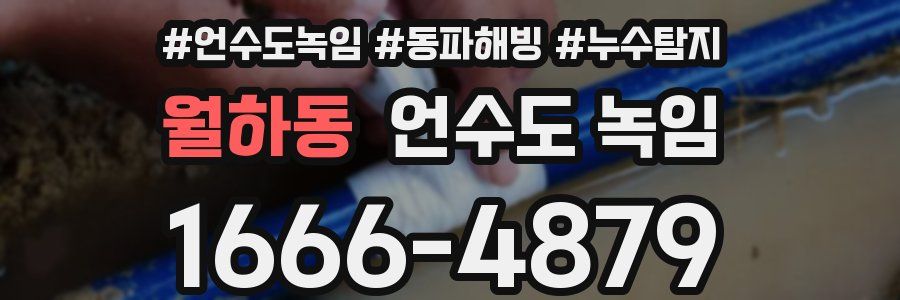 월하동 언수도 녹임