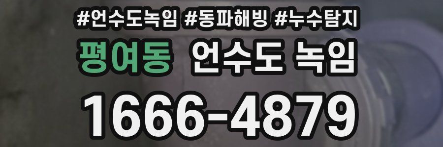 평여동 언수도 녹임
