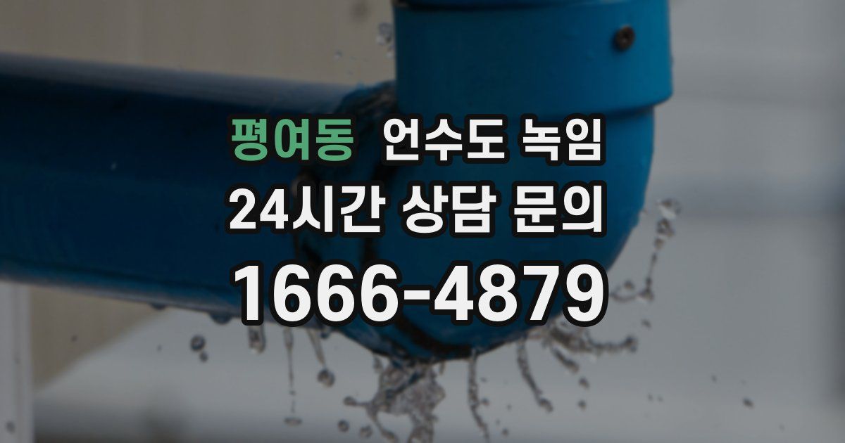 평여동 언수도 녹임