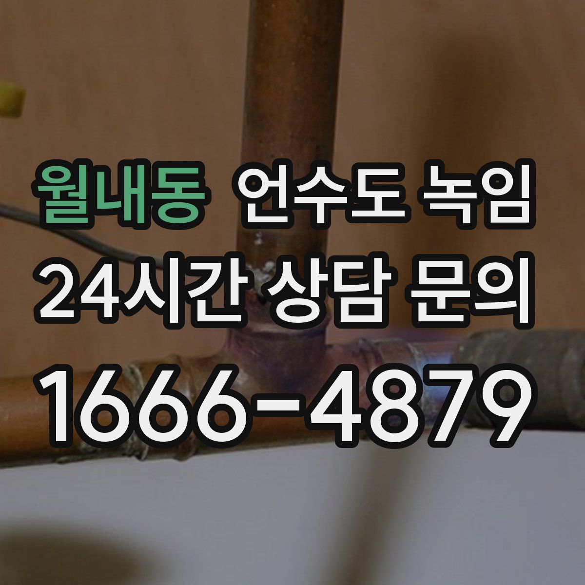 월내동 언수도 녹임