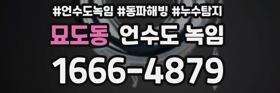 묘도동 언수도 녹임