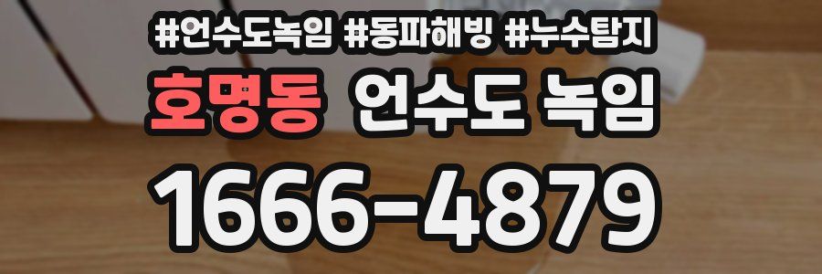 호명동 언수도 녹임