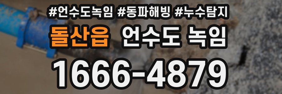 돌산읍 언수도 녹임