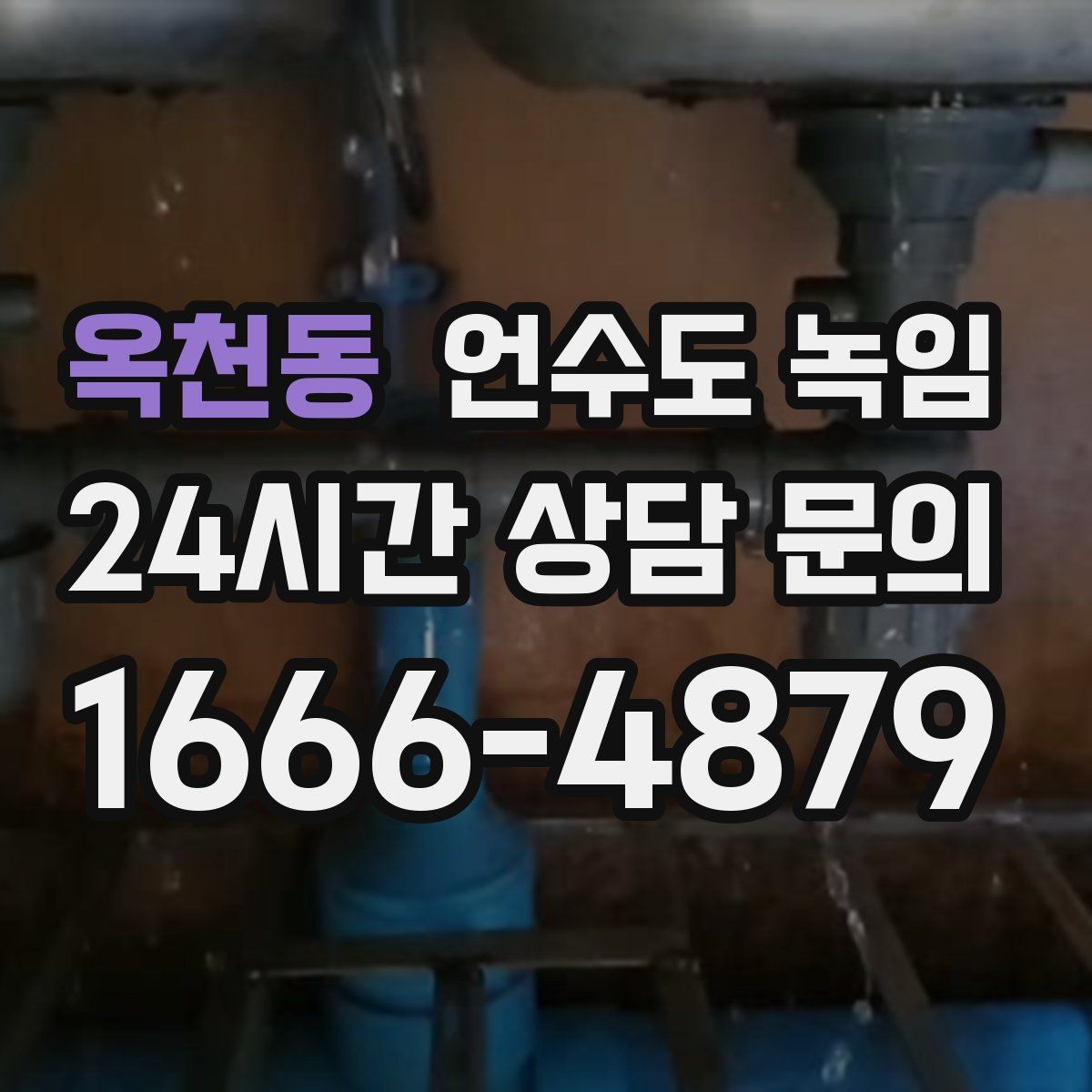 옥천동 언수도 녹임