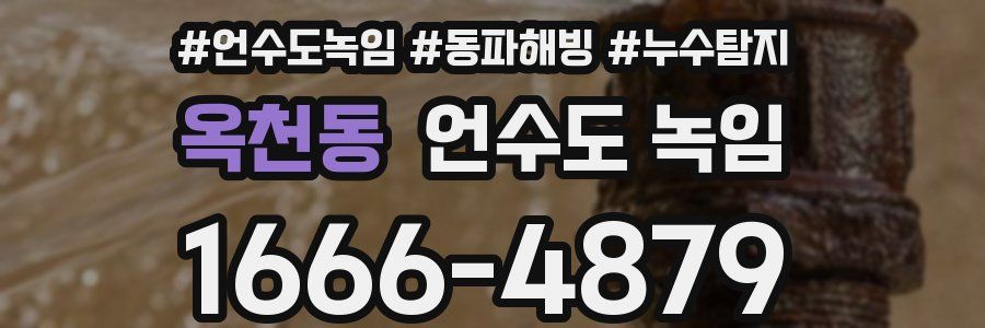 옥천동 언수도 녹임