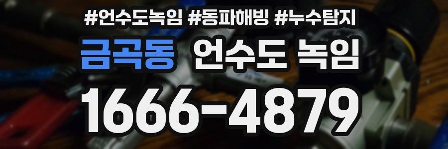 금곡동 언수도 녹임