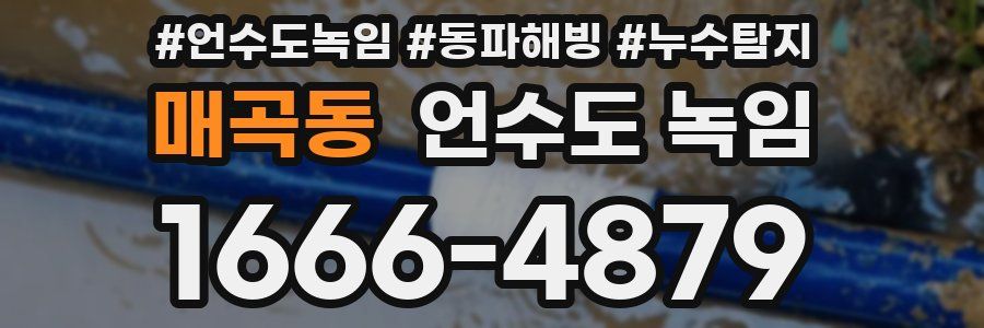 매곡동 언수도 녹임