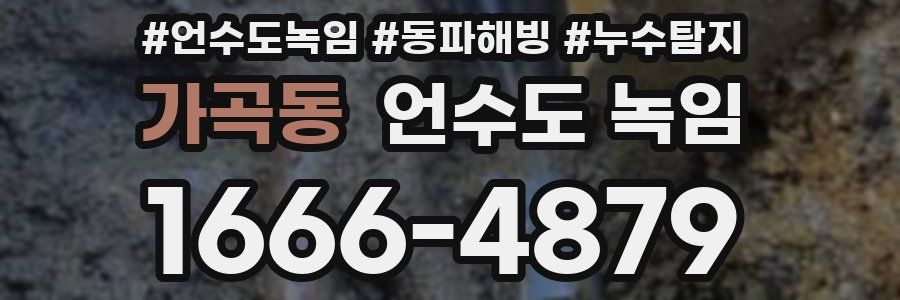 가곡동 언수도 녹임