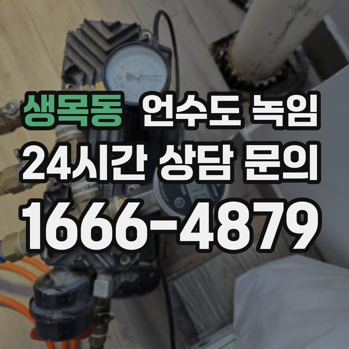 생목동 언수도 녹임