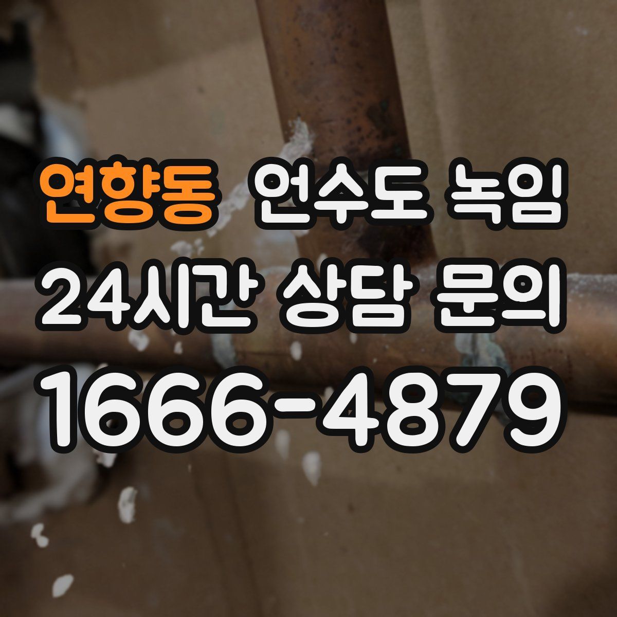 연향동 언수도 녹임