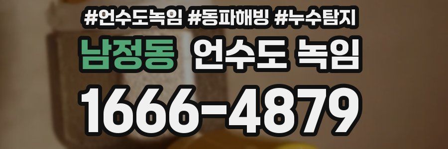 남정동 언수도 녹임