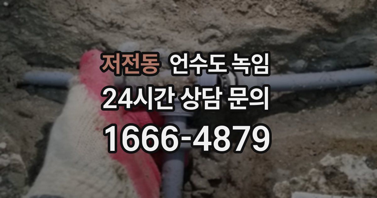 저전동 언수도 녹임