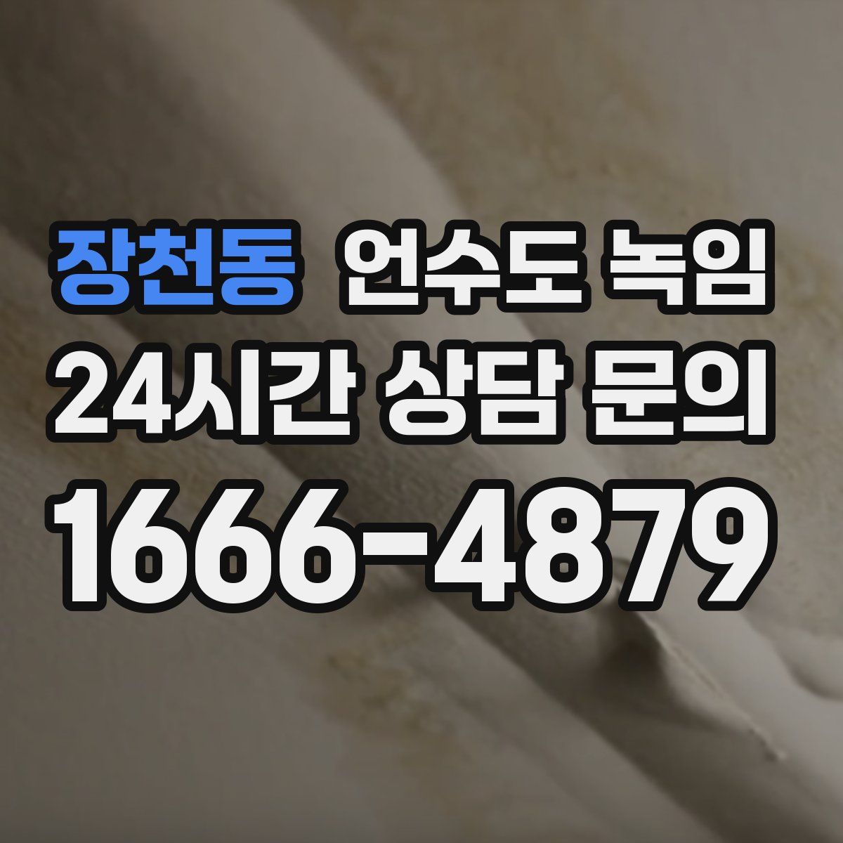 장천동 언수도 녹임