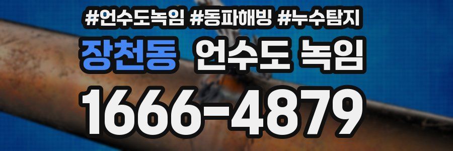 장천동 언수도 녹임