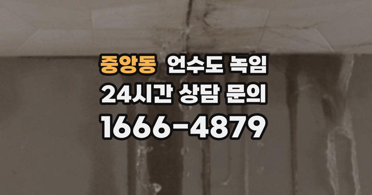 중앙동 언수도 녹임