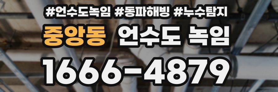 중앙동 언수도 녹임