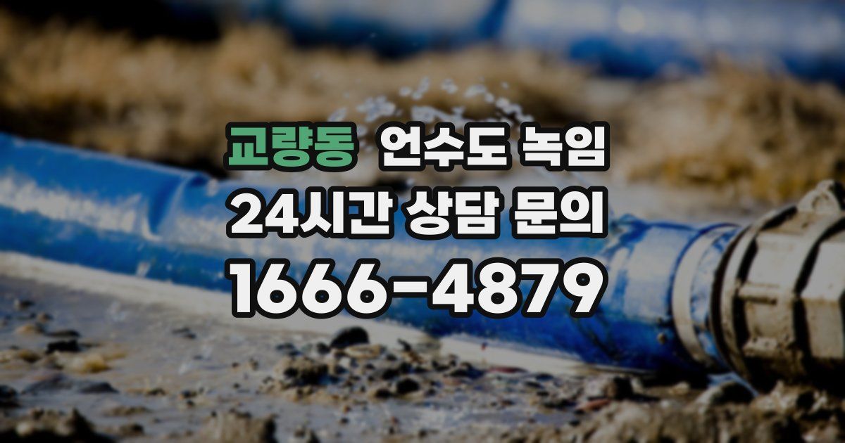 교량동 언수도 녹임