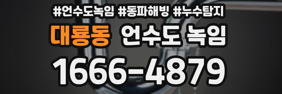 대룡동 언수도 녹임