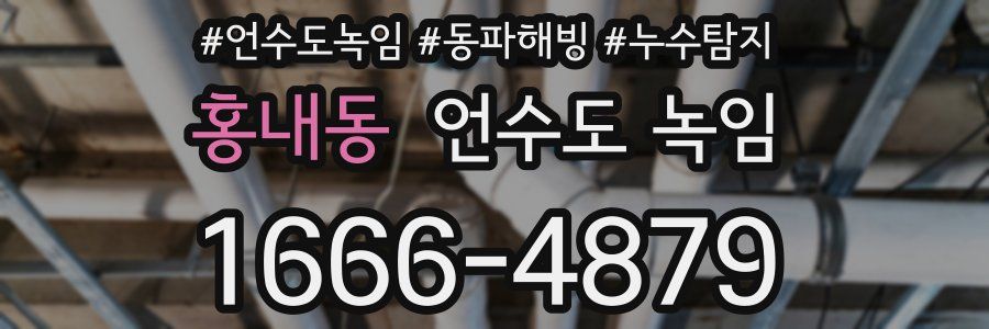 홍내동 언수도 녹임