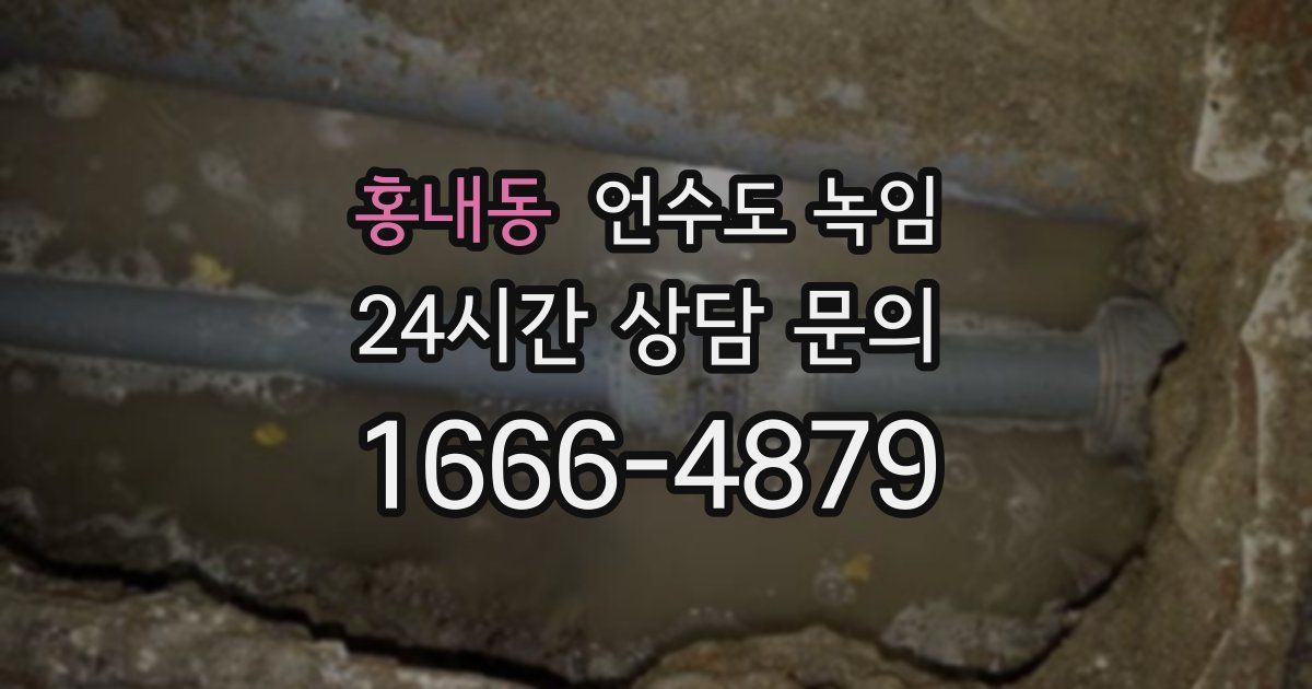 홍내동 언수도 녹임