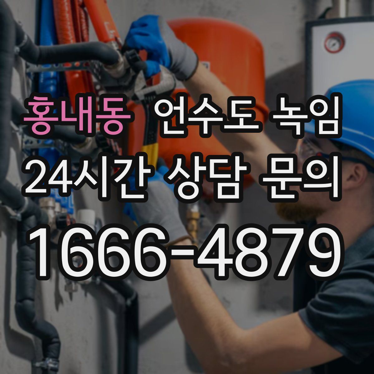 홍내동 언수도 녹임