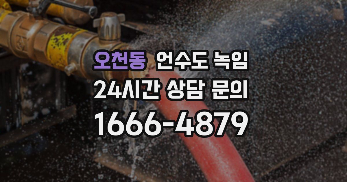 오천동 언수도 녹임