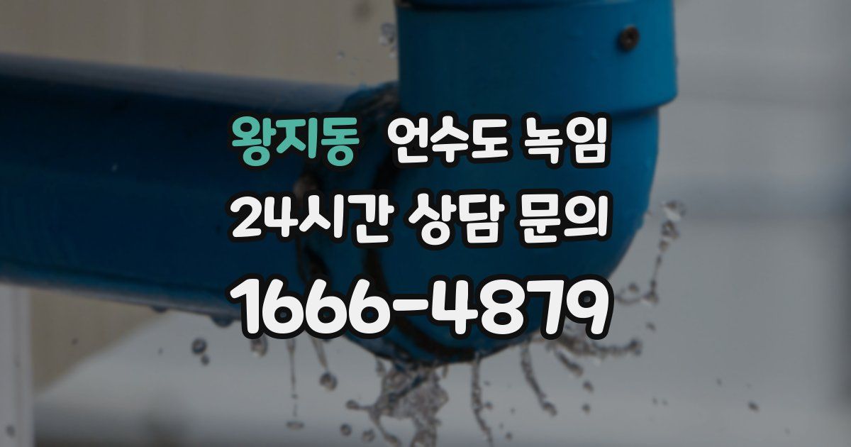 왕지동 언수도 녹임