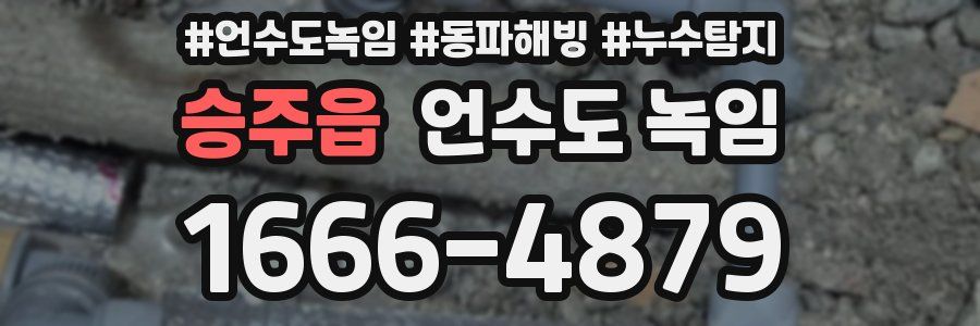 승주읍 언수도 녹임