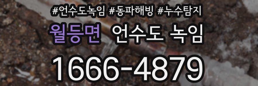 월등면 언수도 녹임