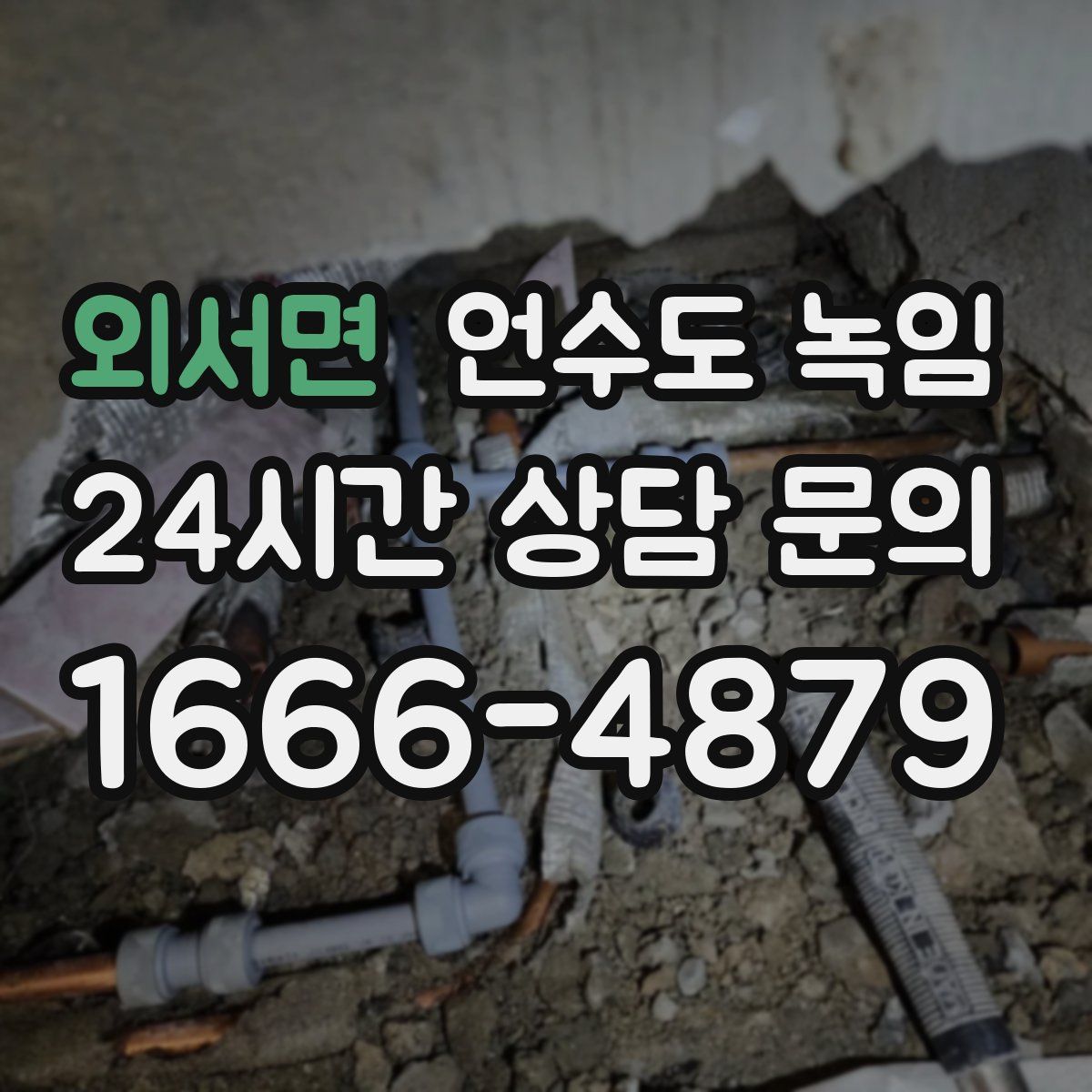 외서면 언수도 녹임