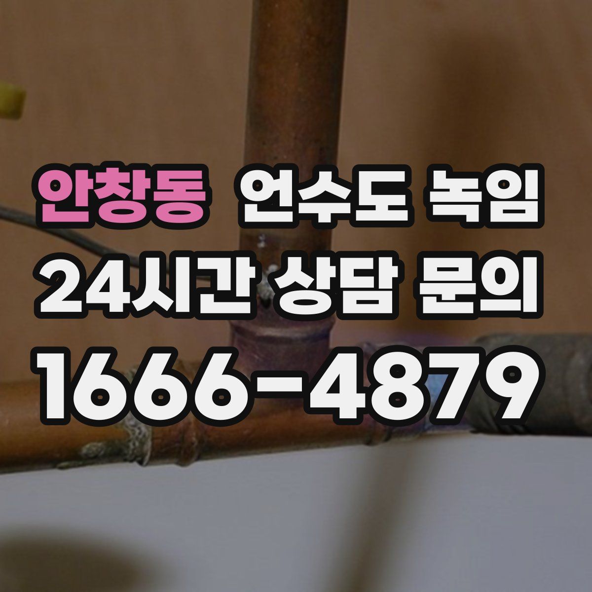 안창동 언수도 녹임