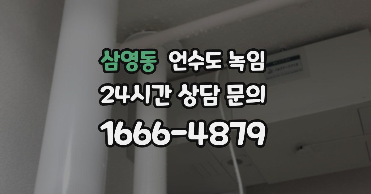 삼영동 언수도 녹임