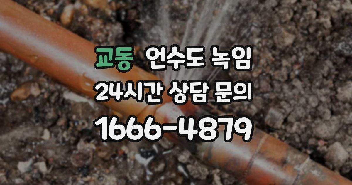 교동 언수도 녹임