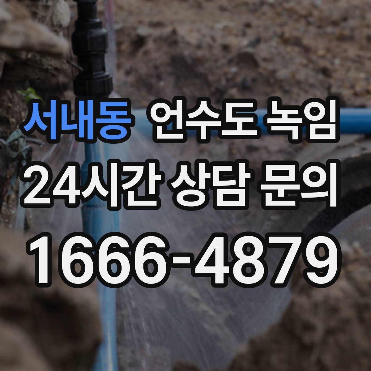 서내동 언수도 녹임