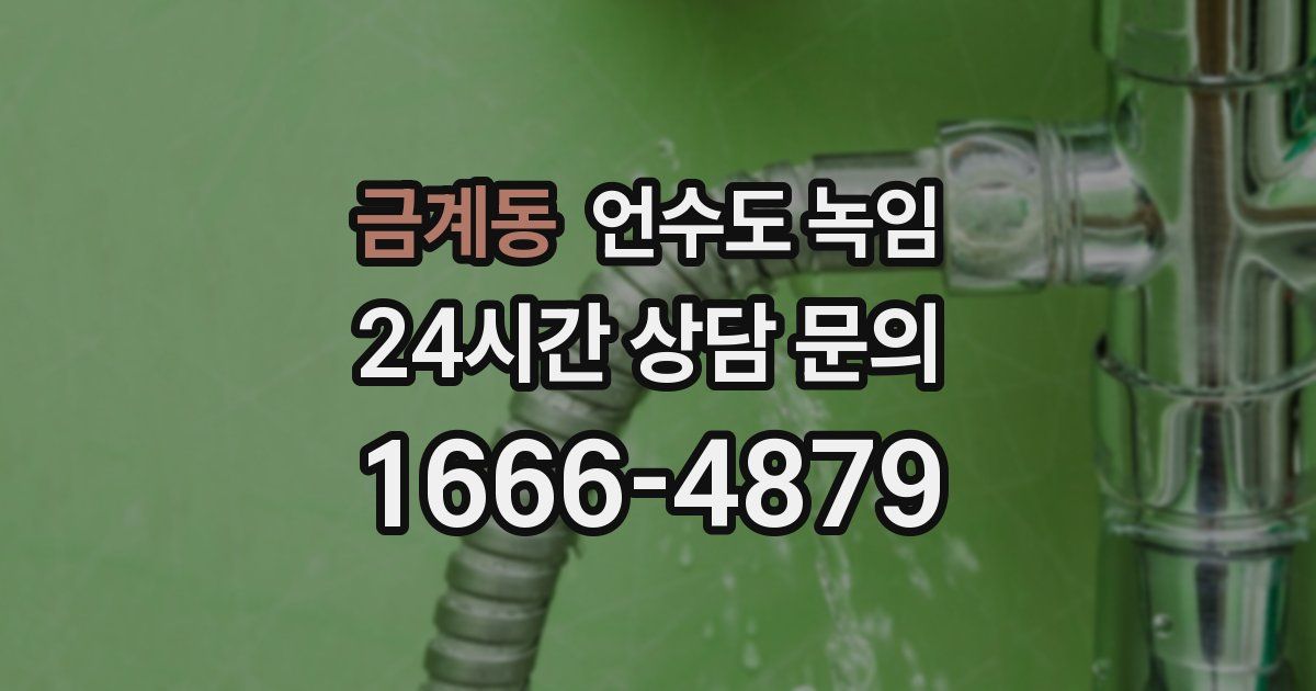 금계동 언수도 녹임