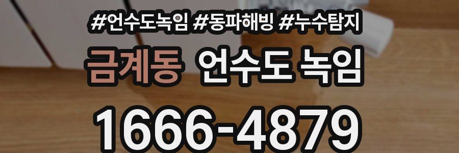 금계동 언수도 녹임