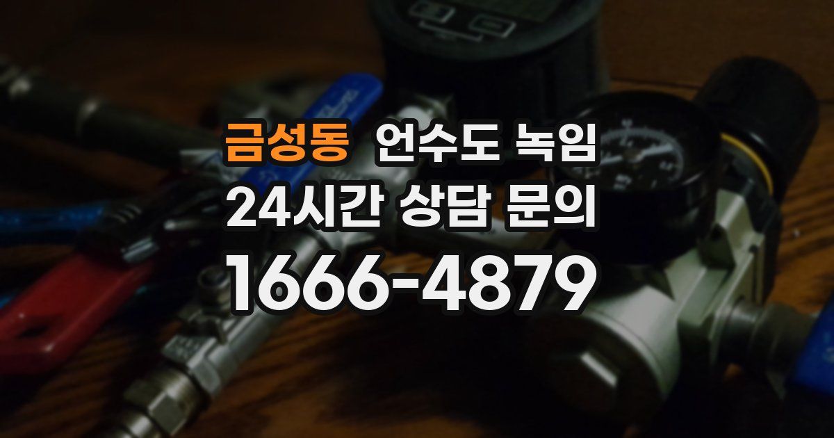 금성동 언수도 녹임