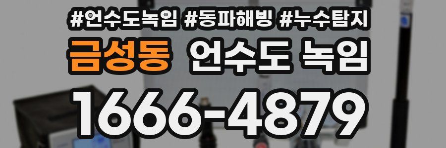금성동 언수도 녹임