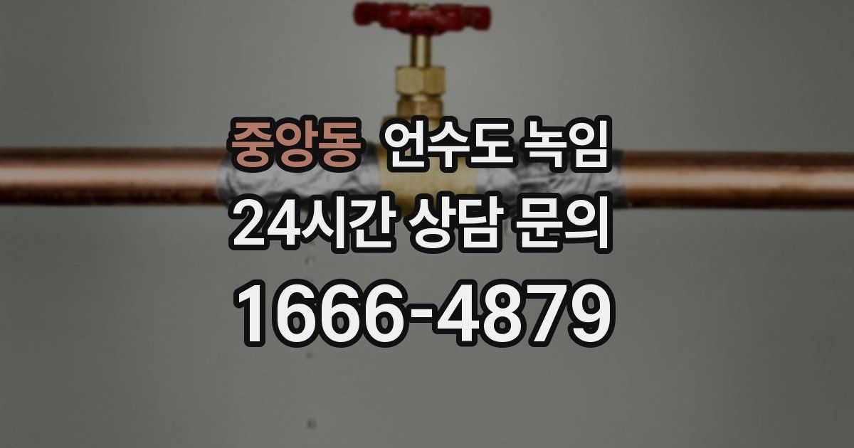 중앙동 언수도 녹임