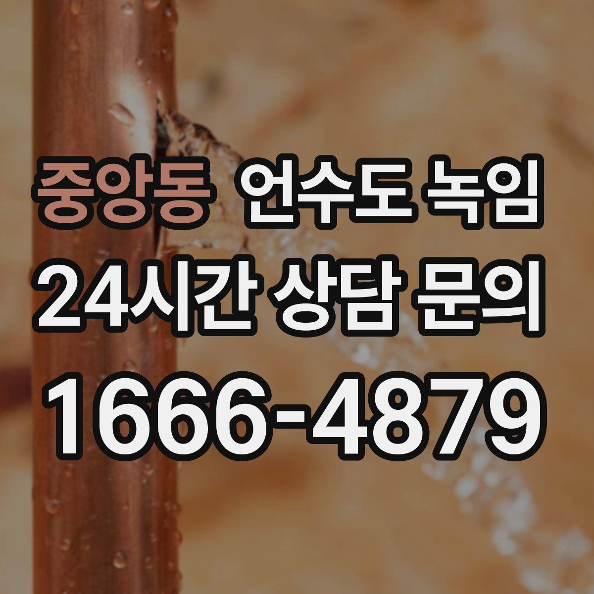 중앙동 언수도 녹임