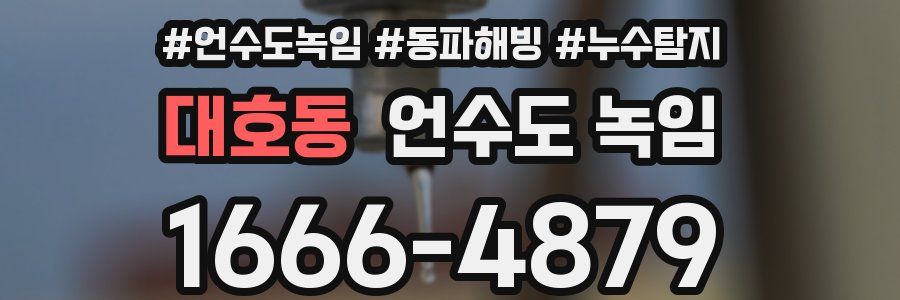 대호동 언수도 녹임