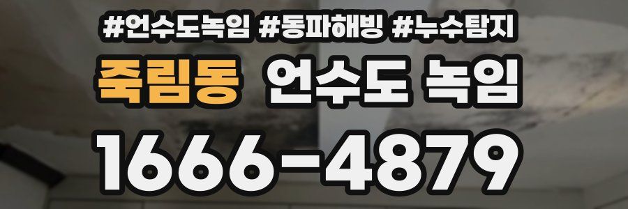 죽림동 언수도 녹임