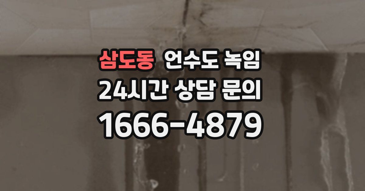 삼도동 언수도 녹임